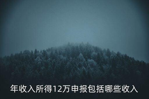 十二萬申報是什么，12萬個稅申報有什么用