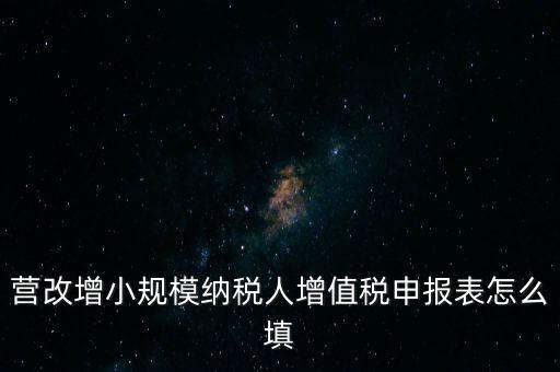 營改增需要填什么表，營改增小規(guī)模納稅人網(wǎng)上納稅申報需要填寫幾張表