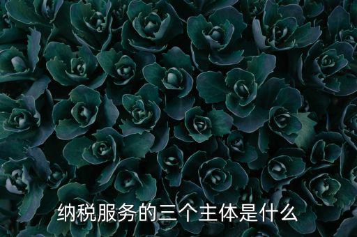 納稅服務(wù) 是什么，納稅服務(wù)的三個(gè)主體是什么
