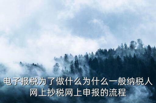 電子稅務(wù)申報(bào)是什么來的，電子申報(bào)納稅是怎么回事給報(bào)送紙質(zhì)申報(bào)材料一樣嗎