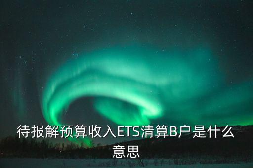 地稅b戶是什么，待報解預(yù)算收入ETS清算B戶是什么意思