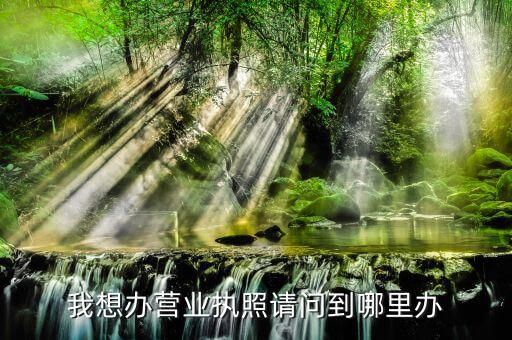 執(zhí)照在什么地方省，我想辦營業(yè)執(zhí)照請問到哪里辦