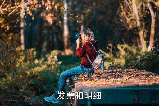 發(fā)票中的明細是什么意思，發(fā)票的明細條數(shù)控制在2000條是什么意思