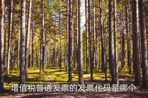 發(fā)票賦碼是什么，增值稅普通發(fā)票的發(fā)票代碼是哪個