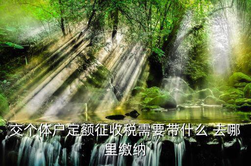個(gè)體戶定額需要準(zhǔn)備什么，交個(gè)體戶定額征收稅需要帶什么 去哪里繳納