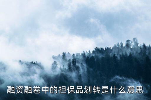 融資融卷中的擔保品劃轉(zhuǎn)是什么意思