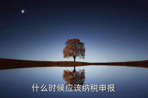 消費(fèi)稅什么時候申報，什么時候應(yīng)該納稅申報