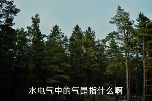 水電氣退稅氣指什么，公租房的水電氣的氣是指什么