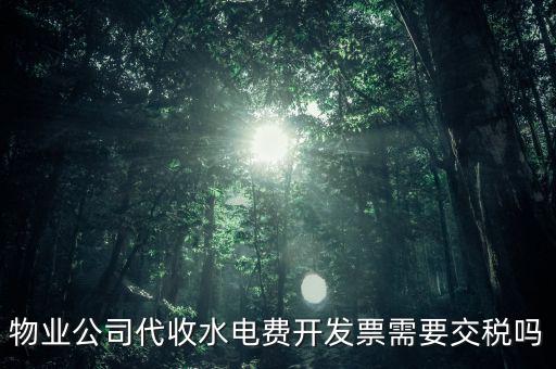物業(yè)水費(fèi)要交什么稅，2022年4月物業(yè)公司開水電費(fèi)發(fā)票稅率