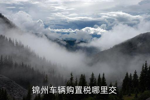 錦州國稅局車輛購置部門是什么，錦州機(jī)動車購置稅在哪里交