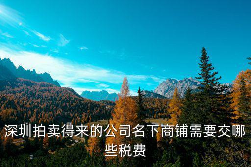 拍賣公司交什么稅，拍賣公司取得的傭金收入2000交哪些稅