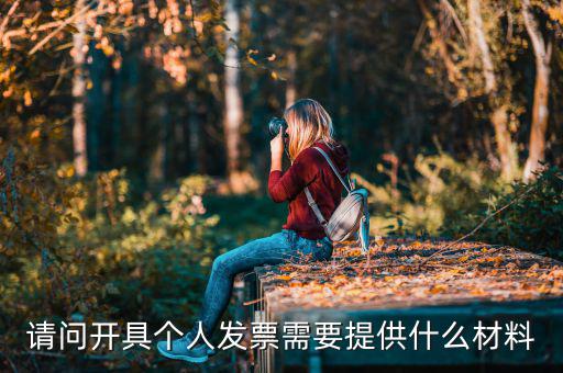 個人發(fā)票需要什么資料，個人購物開增值稅普通發(fā)票需要什么資料