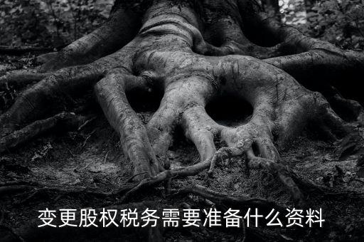 股權(quán)變更完稅憑證需要什么資料，變更股權(quán)稅務需要準備什么資料