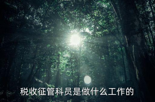 國稅局征管員和企業(yè)要做什么，稅收征管的公務員主要做什么工作