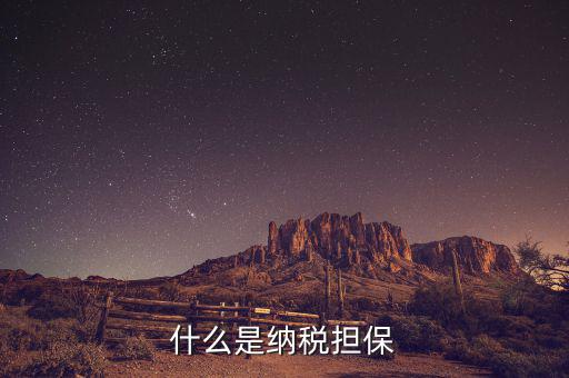 納稅擔(dān)保人用來干什么的，什么是納稅擔(dān)保