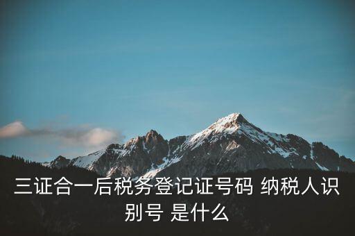 三證合一納稅識別號是什么，三證合一后納稅人識別號是什么意思