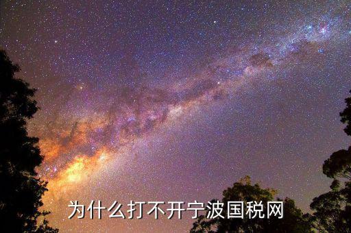 寧波國稅app為什么登陸不上，為什么打不開寧波國稅網(wǎng)