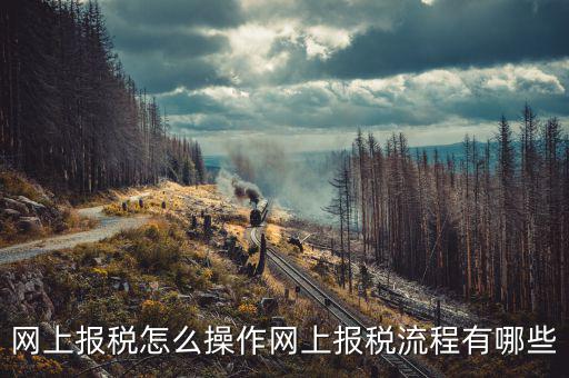 網(wǎng)上交稅要下載什么，個(gè)人所得稅官網(wǎng)登錄企業(yè)個(gè)人所得稅要下載什么端口申報(bào)