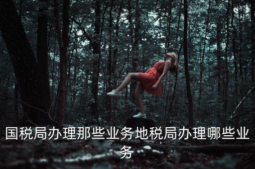 地稅辦理什么業(yè)務(wù)，國稅局辦理那些業(yè)務(wù)地稅局辦理哪些業(yè)務(wù)