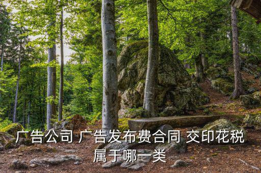 線上廣告發(fā)布屬于什么印花稅，廣告公司 廣告發(fā)布費(fèi) 交印花稅屬于哪一類