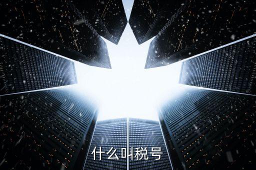 出口企業(yè)稅號是什么，什么叫稅號