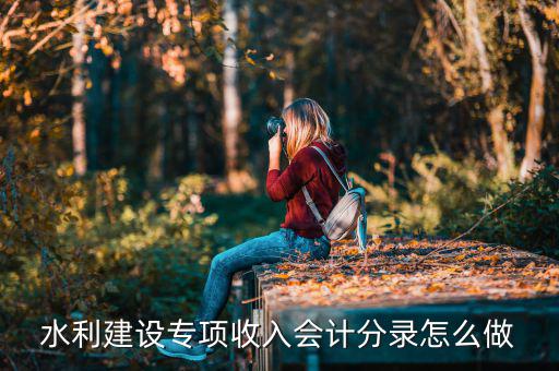 水利建設(shè)專項(xiàng)收入是什么，水利建設(shè)專項(xiàng)收入會(huì)計(jì)分錄怎么做