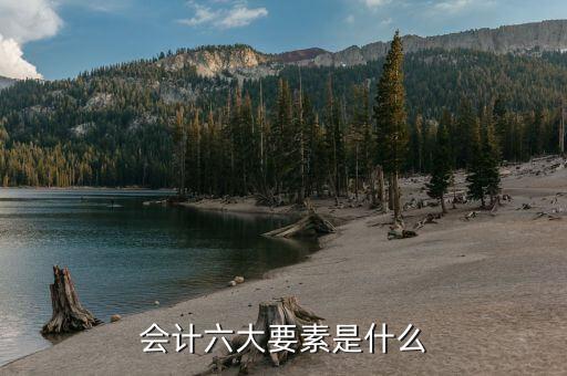 六大協(xié)查要素是什么，會計六大要素是什么
