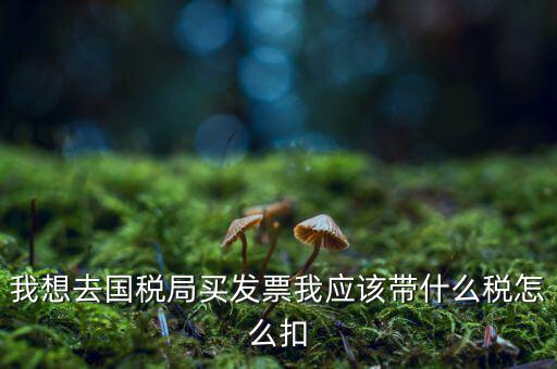 去國稅局扣稅需帶什么，我想去國稅局買發(fā)票我應(yīng)該帶什么稅怎么扣