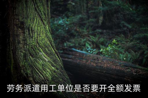 勞務(wù)派遣開什么票，勞務(wù)派遣小時工發(fā)票怎么開