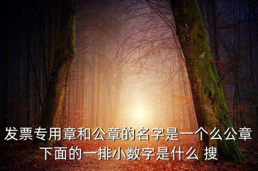 發(fā)票專(zhuān)用章和公章的名字是一個(gè)么公章下面的一排小數(shù)字是什么 搜