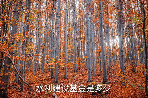 水利建設(shè)基金什么行業(yè)，水利工程這個(gè)專業(yè)畢業(yè)就業(yè)是什么行業(yè)的工作詳細(xì)工作類別