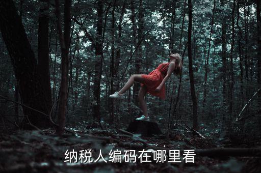 地稅稅源編號是什么，建筑業(yè)地稅稅源編號指的是啥