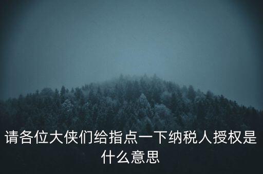 納稅人獲得感是什么意思，請各位大俠們給指點一下納稅人授權(quán)是什么意思