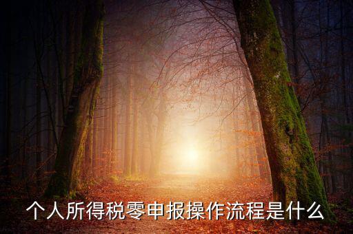 扣繳稅款登記主要流程是什么，納稅流程是怎樣的