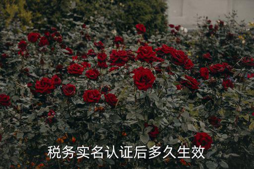 稅務實名認證后多久生效