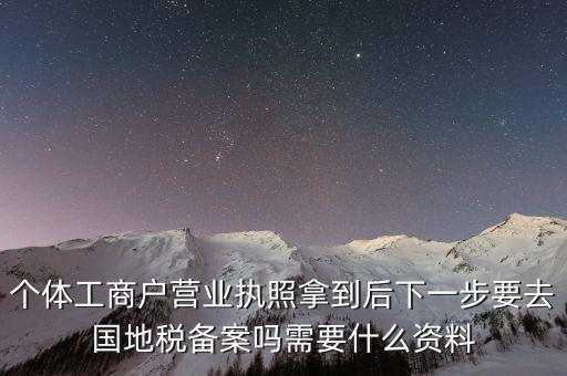 個(gè)體工商戶(hù)營(yíng)業(yè)執(zhí)照拿到后下一步要去國(guó)地稅備案嗎需要什么資料