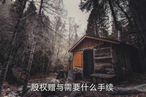 股權(quán)贈(zèng)與稅務(wù)局需要什么手續(xù)，2012年股權(quán)轉(zhuǎn)讓稅務(wù)局所需資料是哪些