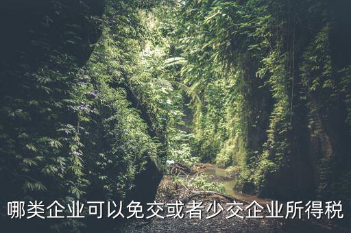 什么情況下企業(yè)可以減免稅收，哪類企業(yè)可以免交或者少交企業(yè)所得稅