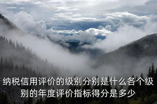 納稅信用評價(jià)的級別分別是什么各個(gè)級別的年度評價(jià)指標(biāo)得分是多少