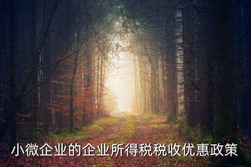 稅務(wù)小微企業(yè)稅收優(yōu)惠是什么，小微企業(yè)的企業(yè)所得稅稅收優(yōu)惠政策