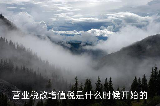 營改增是什么時候開始的，我國全面推開營改增是哪一年