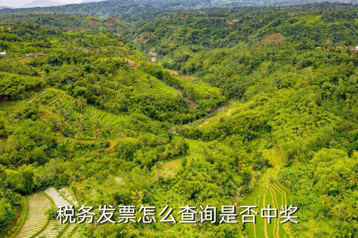 稅務發(fā)票怎么查詢是否中獎