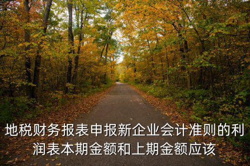 地稅利潤表的上期金額指什么，新會計制度下利潤表中本期金額和上期金額是什么意思