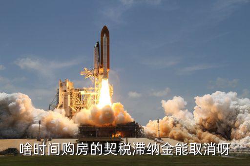 契稅什么時(shí)候扣掉，國(guó)稅和地稅繳稅期限是什么時(shí)候