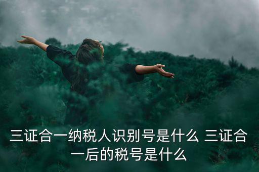 三證合一后稅號(hào)是什么，三證合一納稅人識(shí)別號(hào)是什么 三證合一后的稅號(hào)是什么