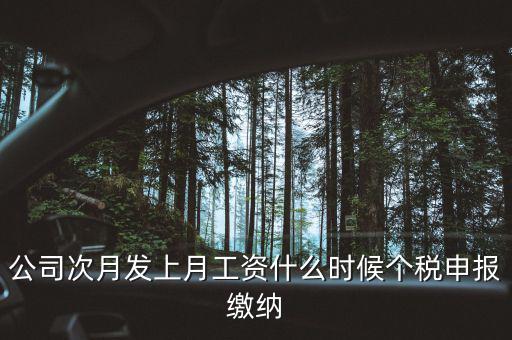 公司次月發(fā)上月工資什么時候個稅申報(bào)繳納