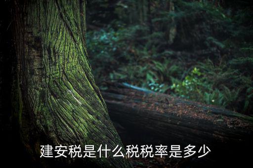 建安稅按什么征，營改增后建安稅稅種稅率有哪些