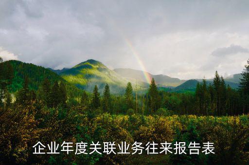 企業(yè)年度關聯(lián)業(yè)務往來報告表