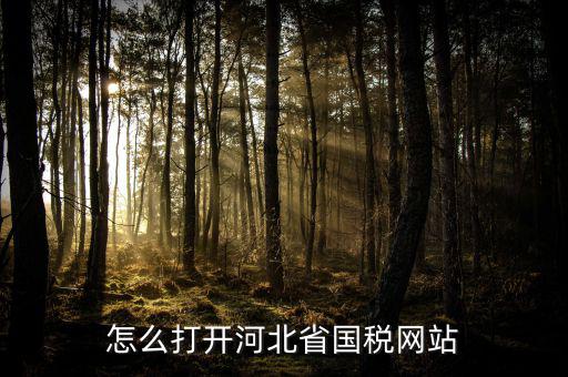 河北稅務(wù)官網(wǎng)是什么意思，怎么打開河北省國(guó)稅網(wǎng)站