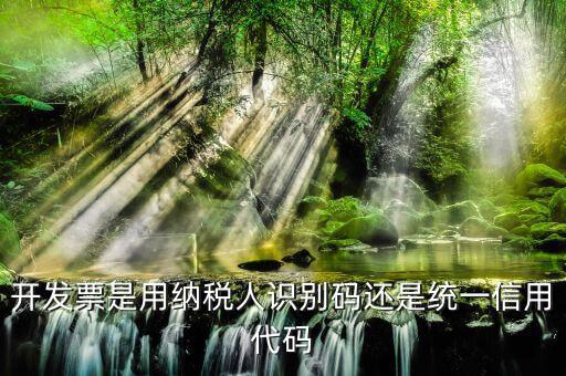 開(kāi)發(fā)票是用納稅人識(shí)別碼還是統(tǒng)一信用代碼